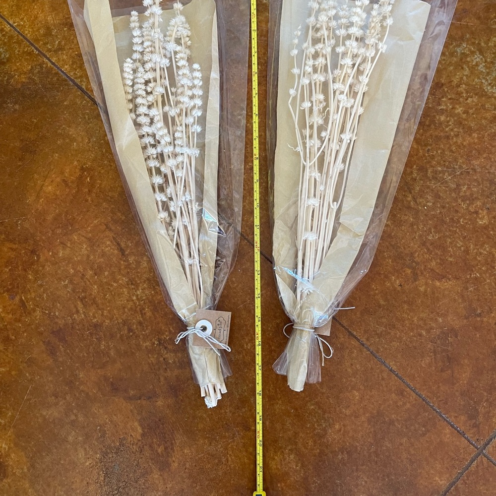 🎉HP🎉Preserved Lions Grass…beautiful! This deal comes with 2 packs!🎉HP🎉 - Picture 5 of 5